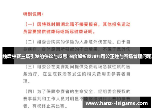魏震禁赛三场引发的争议与反思 深度解析裁判判罚公正性与赛场管理问题
